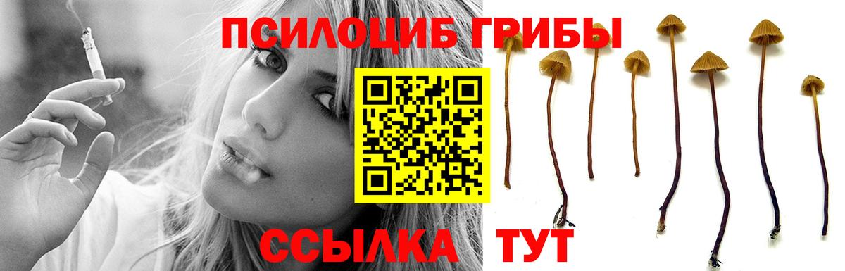 Галлюциногенные грибы Magic Shrooms Острогожск